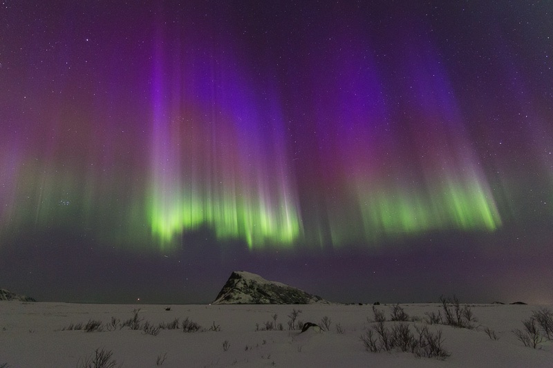  northern lights dancing over the Lofoten Islands